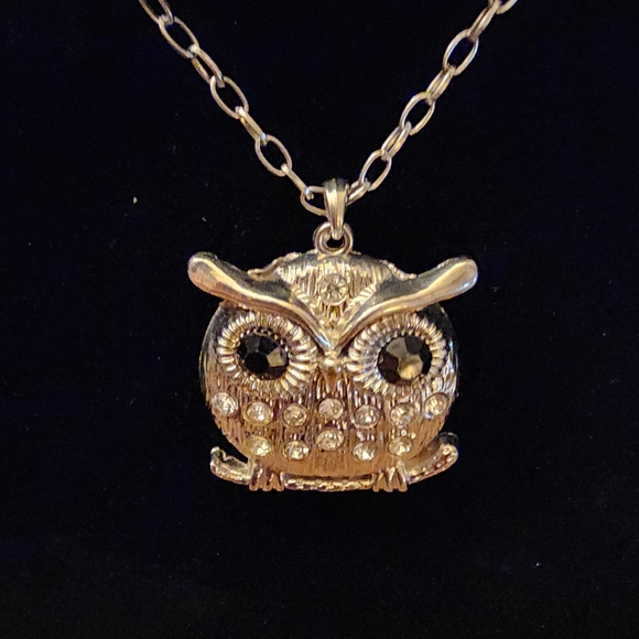 Womens Owl silvertone cz stones black onyx eyes 2"x2'" statement 28" necklace - Picture 2 of 6